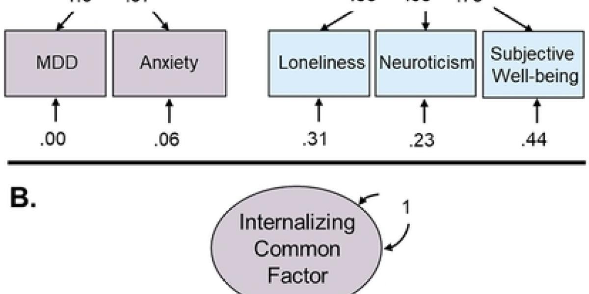 Two-Factor (A) and Common Factor (B) Model of Internalizing Psychopathology and Internalizing-Related Traits Based on GWAS Summary Statistics