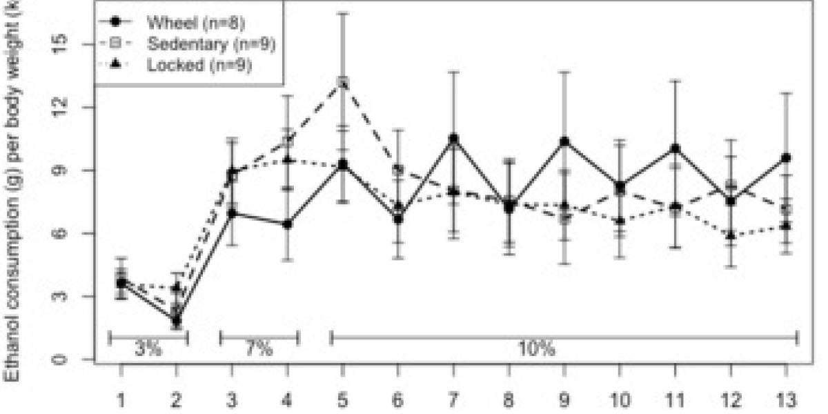 All graphs labeled with significance are based on days 5–13 (10% ethanol) only