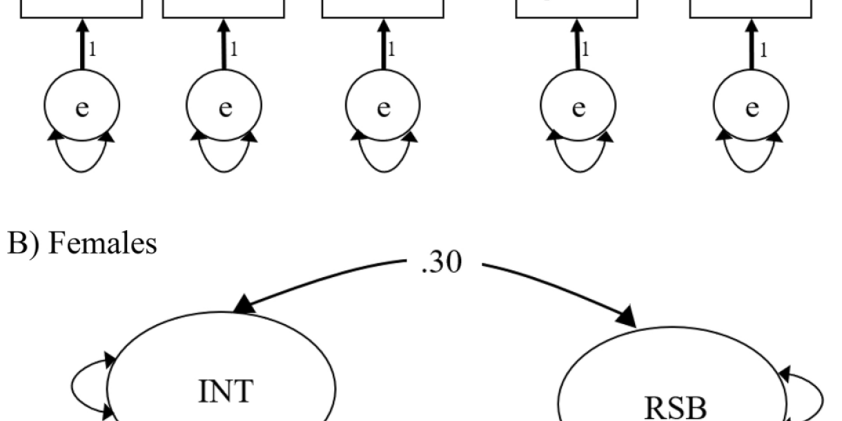 Multigroup phenotypic confirmatory factor analysis for Study 1, separated by sex