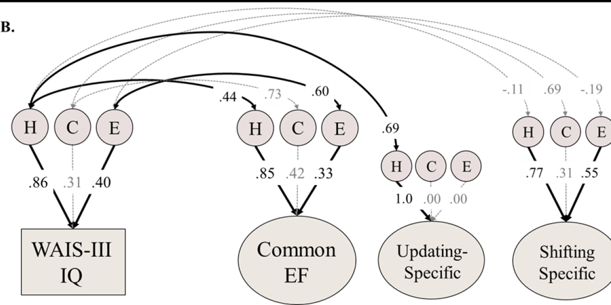 Path model