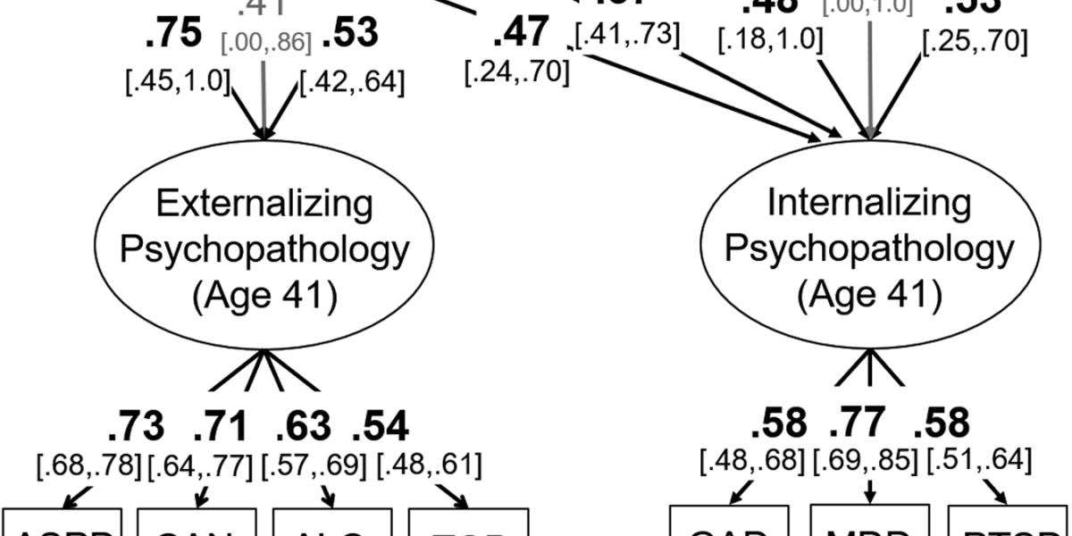 Model of the genetic (A), shared environmental (C), and non-shared environmental influences (E) on internalizing and externalizing psychopathology at age 41