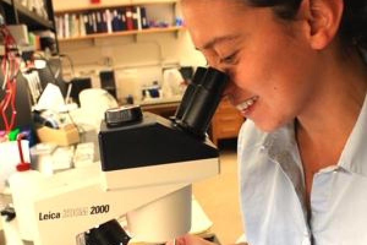 Johnson Lab