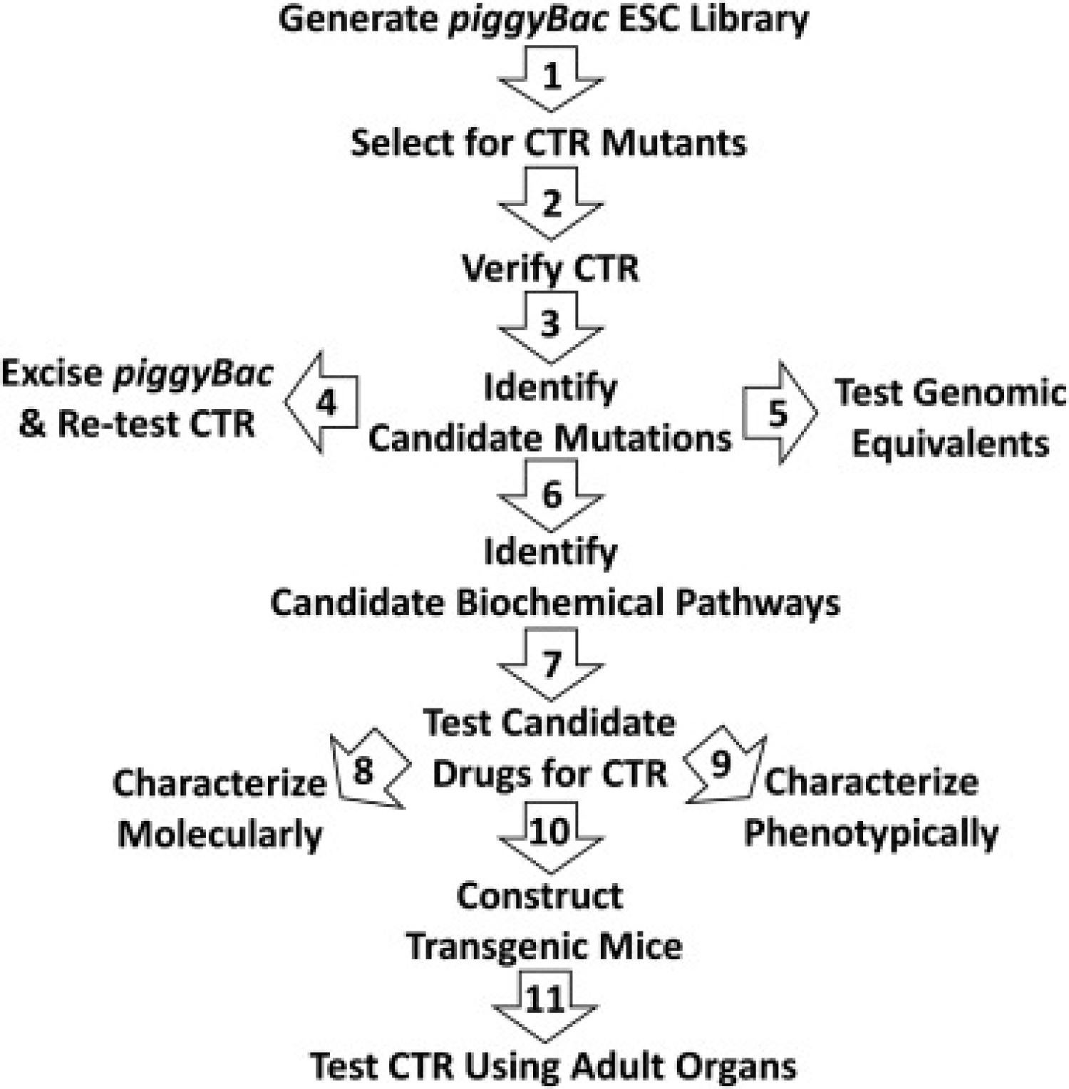 Overview of strategy for identifying and studying CTR mutants,