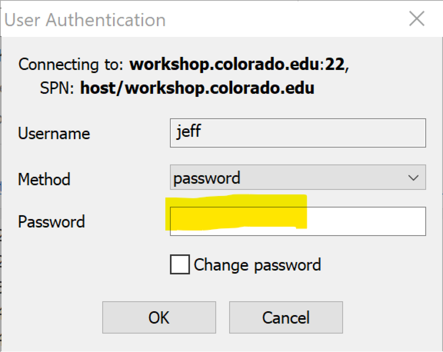 The User Authentication window