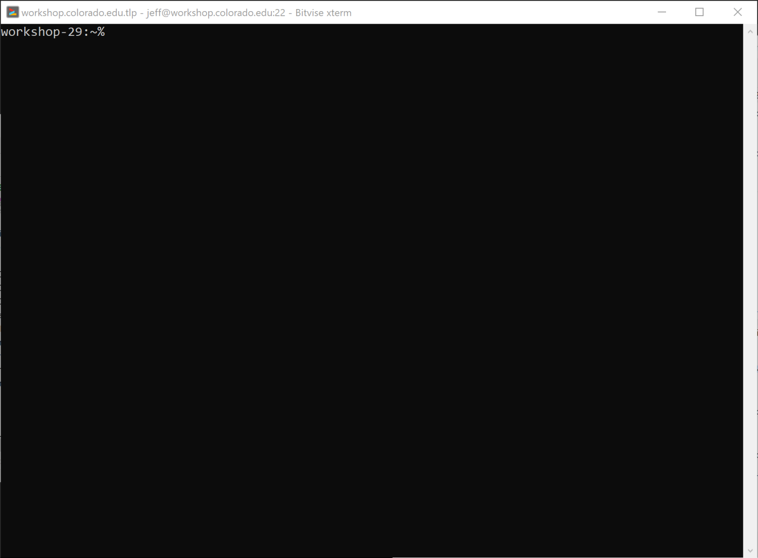 The Bitvise terminal window