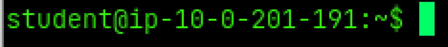 empty prompt