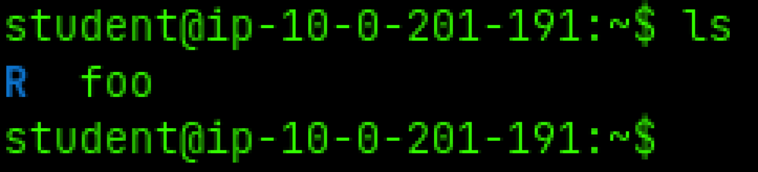 ls example