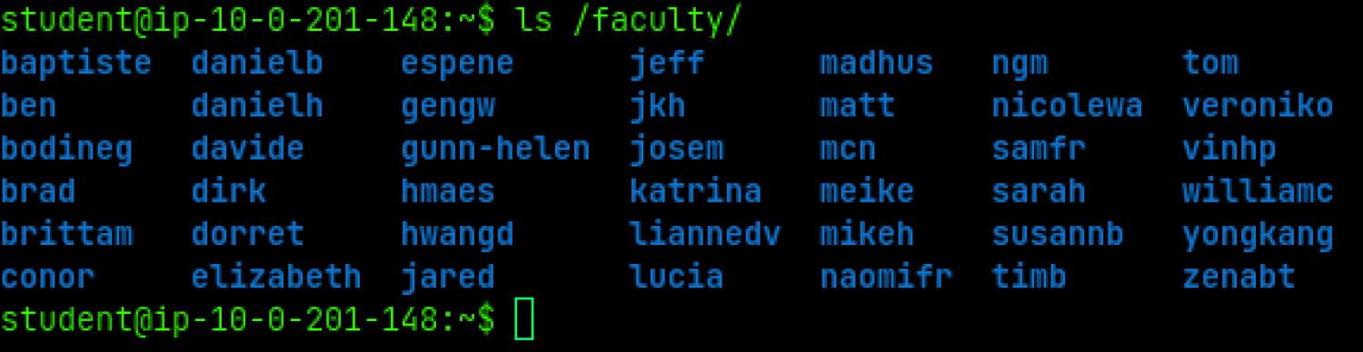 ls faculty