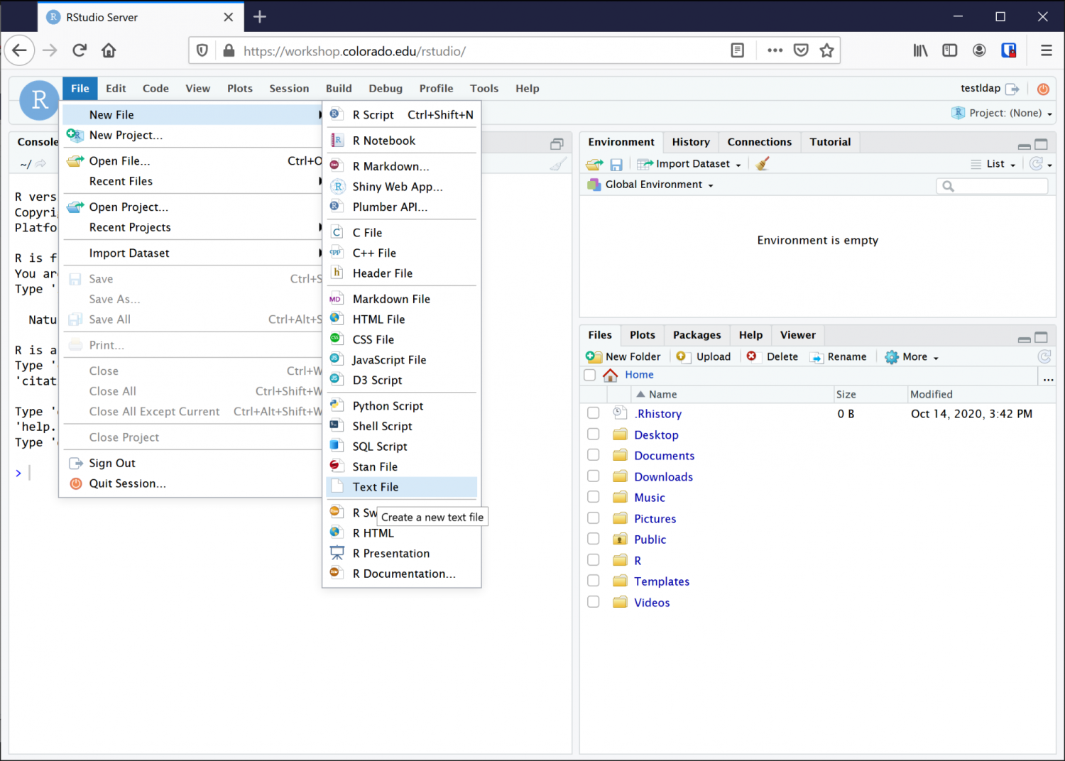 Using RStudio to create an empty text file