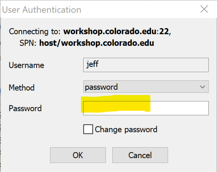 The User Authentication window