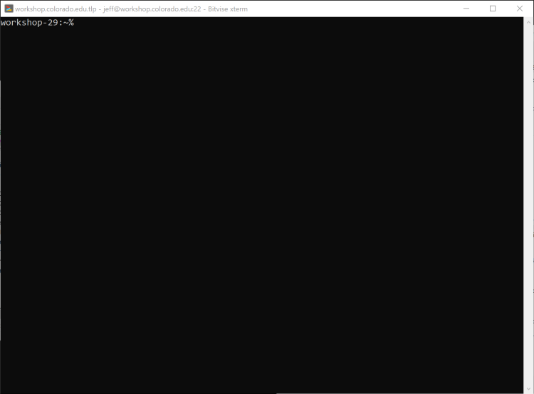 The Bitvise terminal window