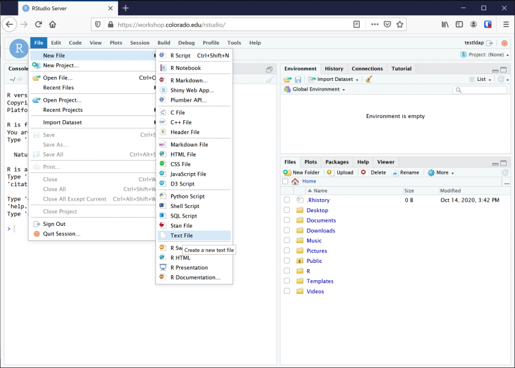 Using RStudio to create an empty text file
