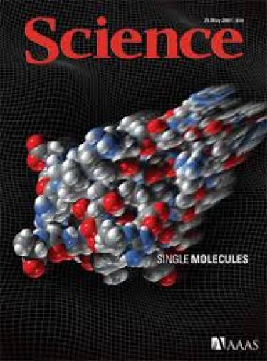 Science