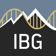 IBG logo