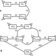 Path models of the results Domingue et al. use to argue for social-genetic effects