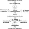 Overview of strategy for identifying and studying CTR mutants.