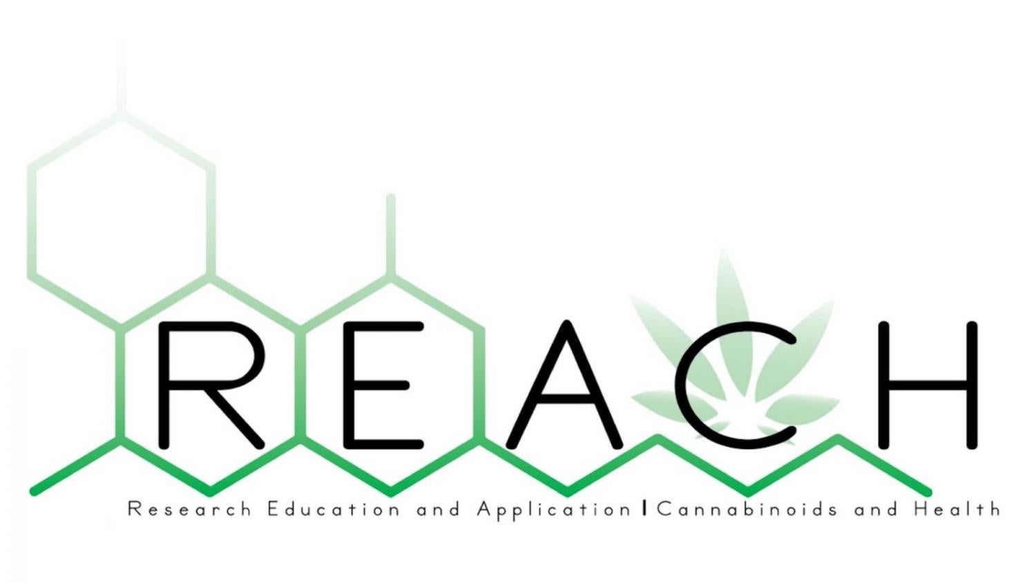 Reach logo