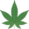 Canabis