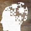 Understanding the teenage brain