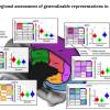 Regional assessment of generalizable representations in MFC