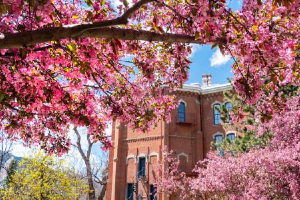spring campus scene