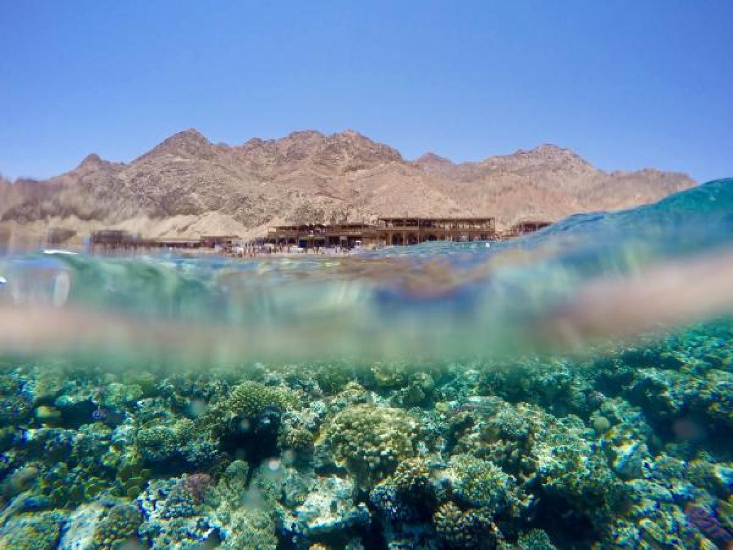 Egypt