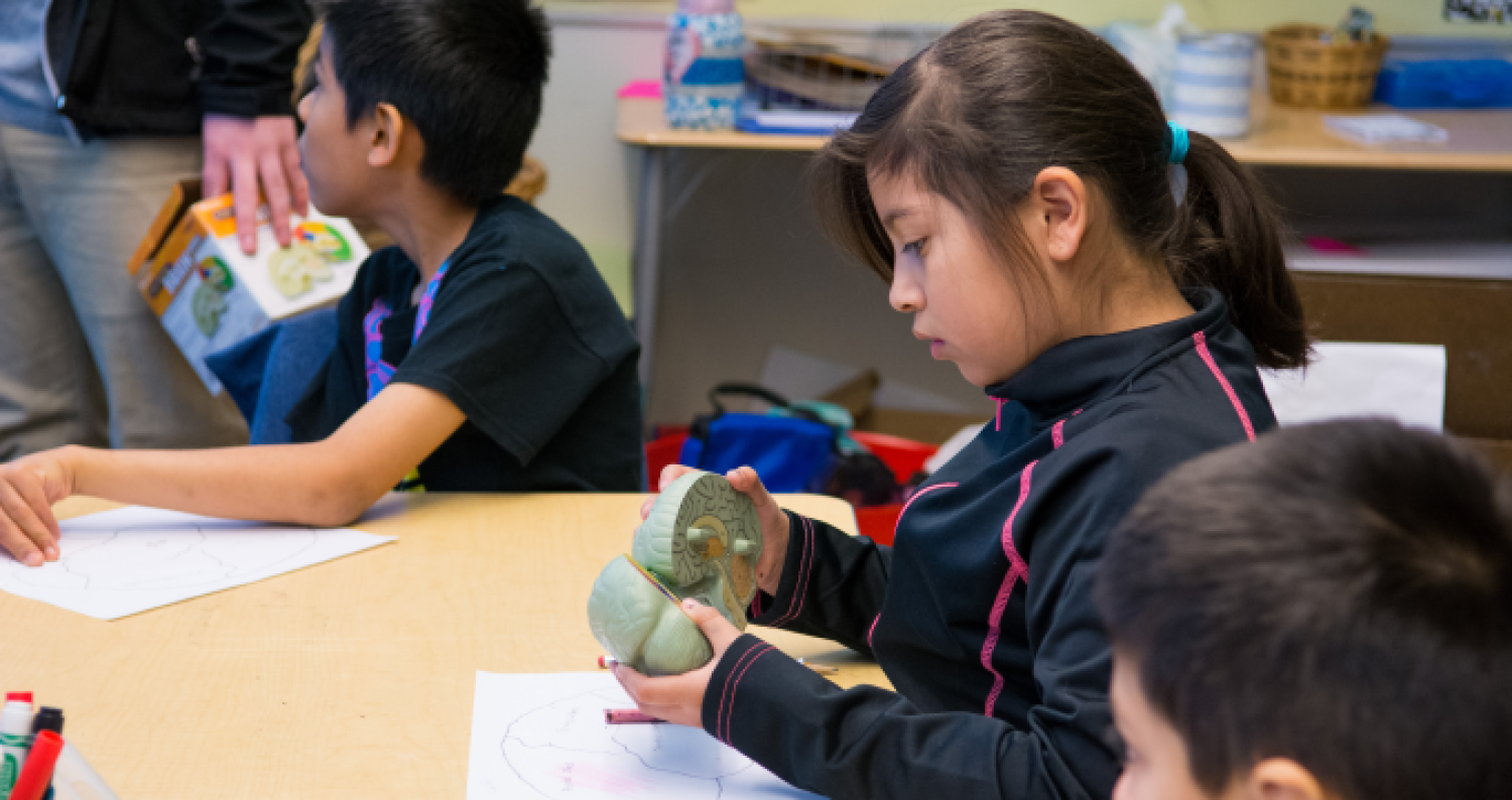 Neuroscience Outreach