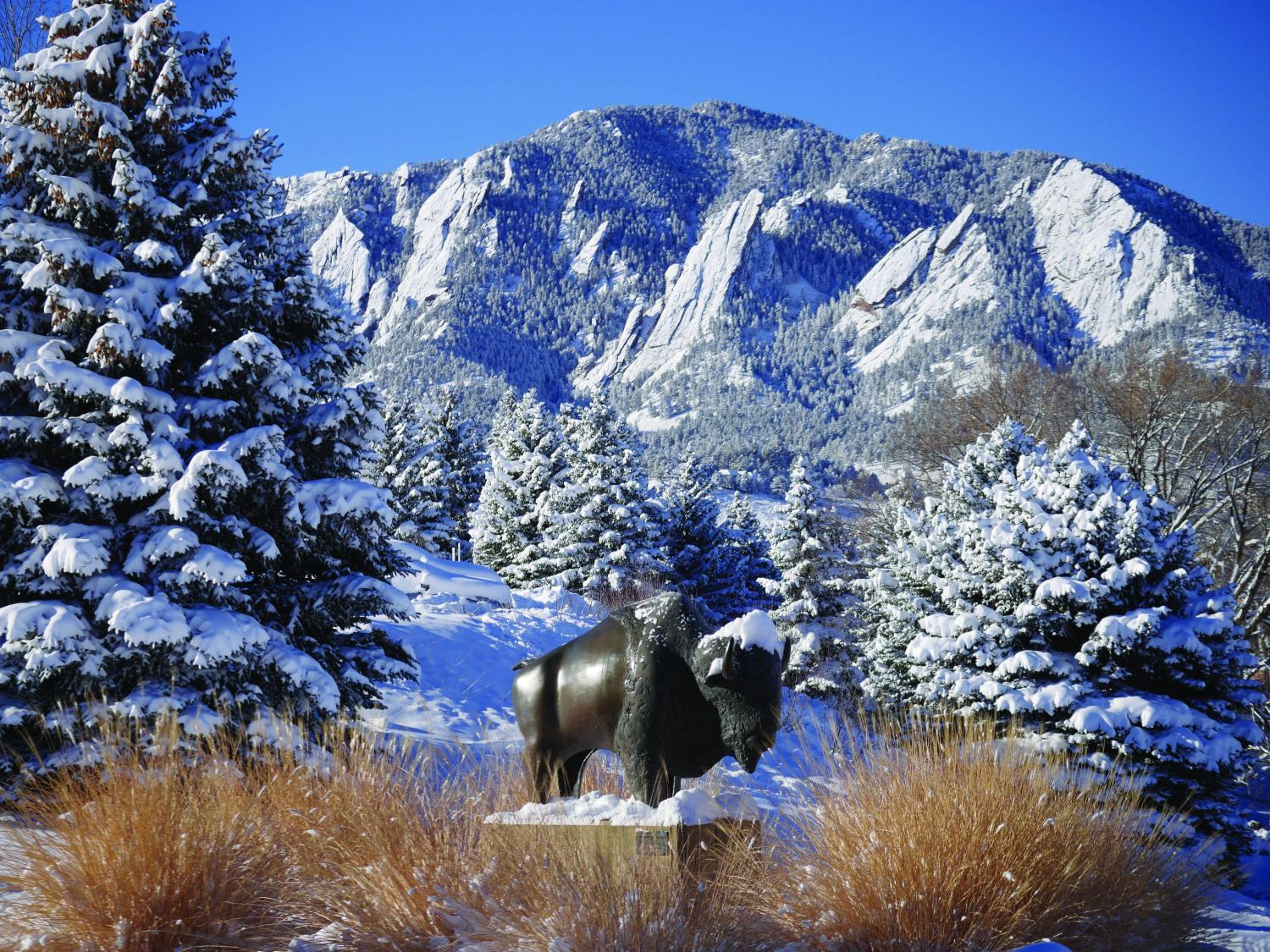 buffalo statue in snow