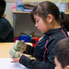Neuroscience Outreach