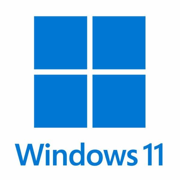 Windows 11 logo