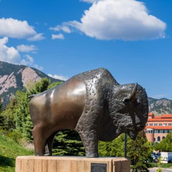 Buffalo statue in front of the Flatirons