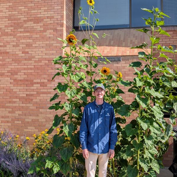 Alex and his sunflowers
