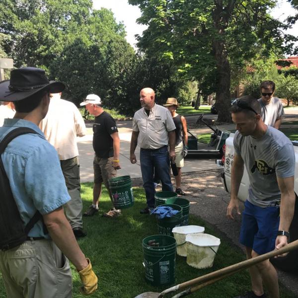 volunteer day of service