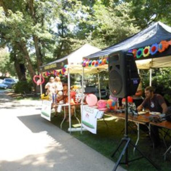 Summer Picnic