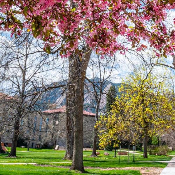 Old Main in spring