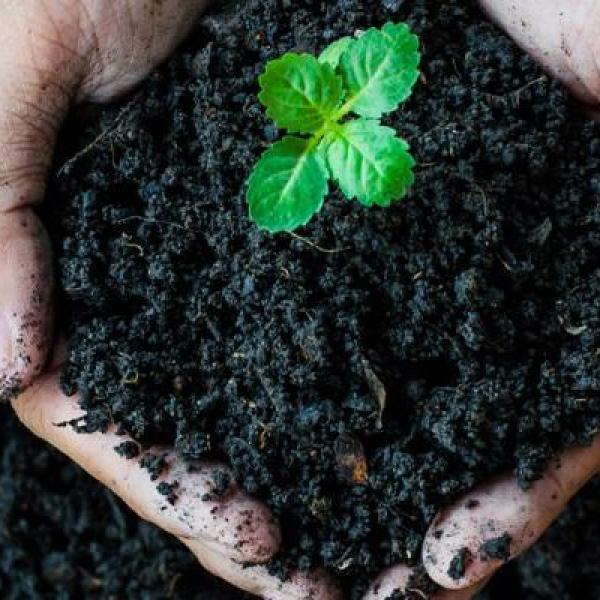 sustainability
