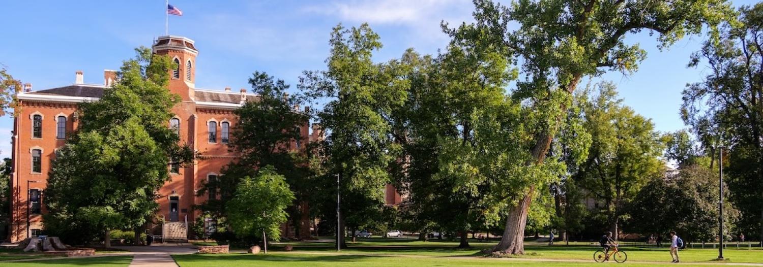 Old main in summer