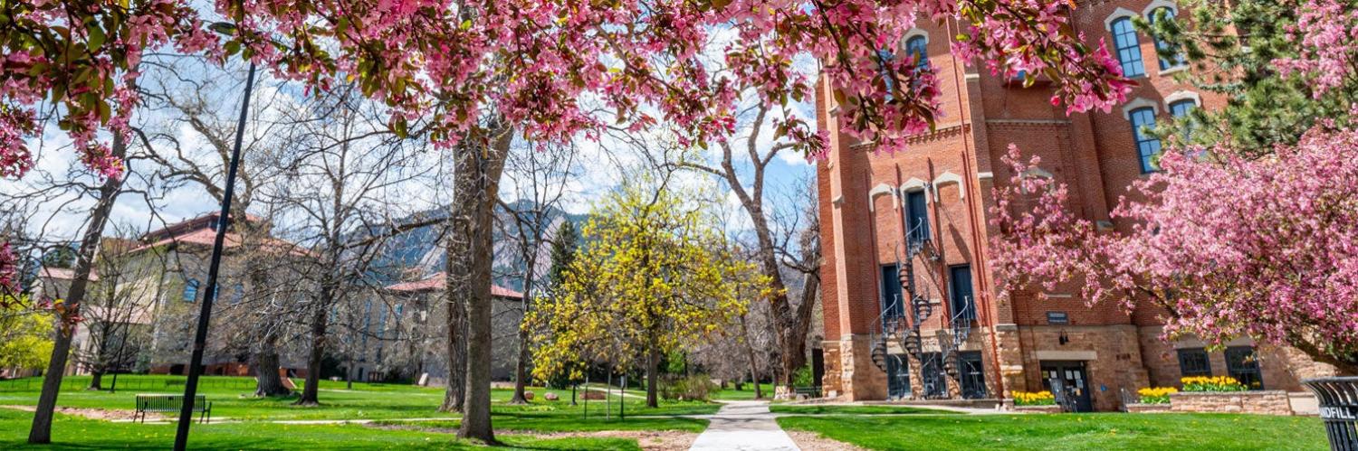 Old Main in spring