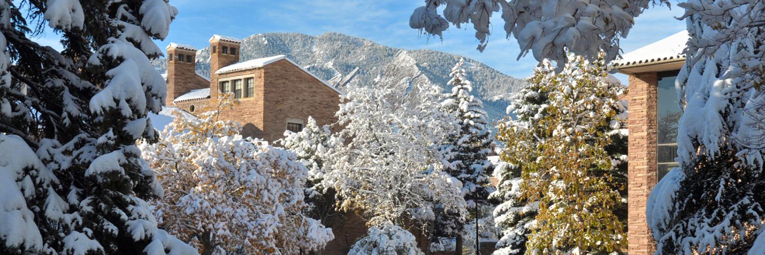 winter campus