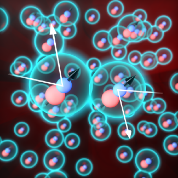 Don’t react, interact: Looking into inert molecular gases