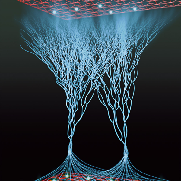 Graphic showing atoms in an optical lattice performing a "quantum walk"
