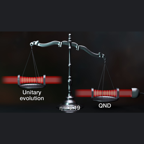 To measure or not to measure, but dynamically evolve—that is the question