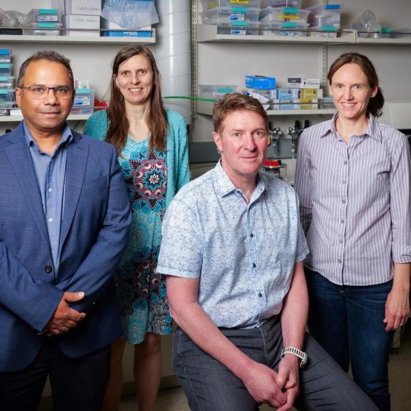 From left to right, Aju Jugessur, Juliet Gopinath, Scott Diddams and Cindy Regal, who will lead the realization of a new facility at CU Boulder for making incredibly small devices.
