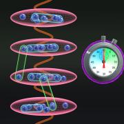 A magic balance in optical lattice clocks