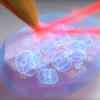 Reading the secrets of the nanoworld with infrared light