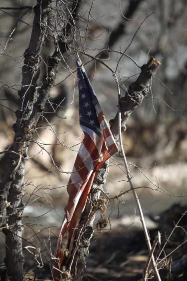 A flag hangs from a tree in a flood drebris field in the middle of town. (Robert R. Denton/CU News Corps)