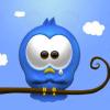 Bird drawing