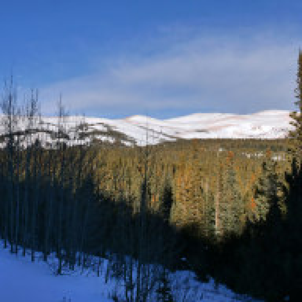 A snowy Bald Mountain scenic in Indian Peaks Wilderness Area near Nederland, Colorado.