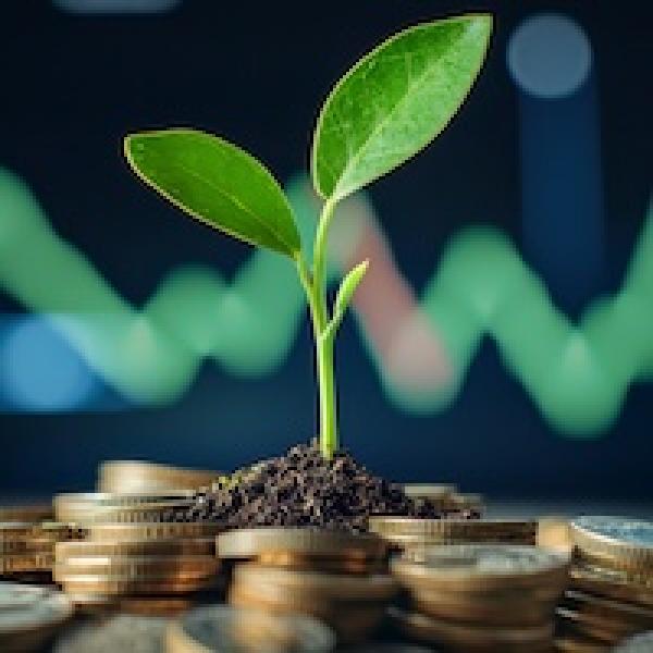 Seedling amidst coins and dirt