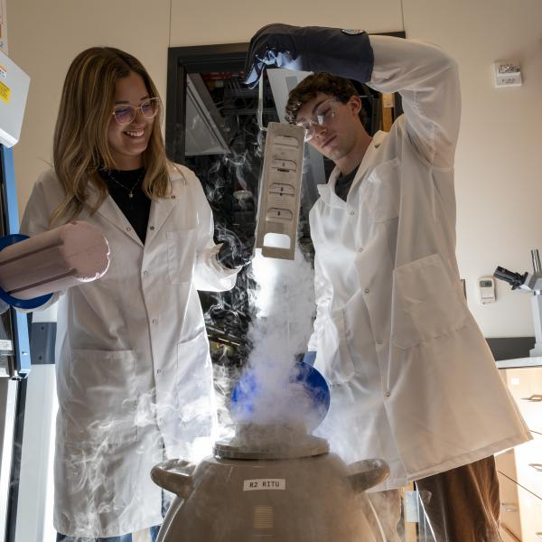 Researchers working in a lab